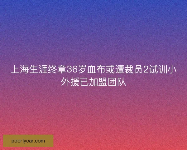 上海生涯终章36岁血布或遭裁员2试训小外援已加盟团队 上海生涯终章36岁血布或遭裁员2试训小外援已加盟团队