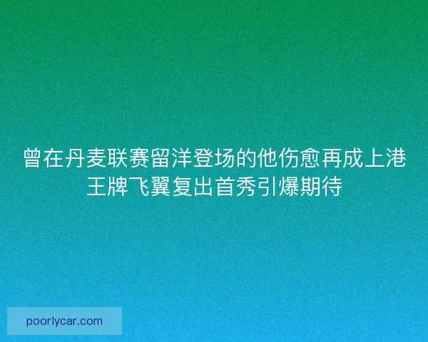 曾在丹麦联赛留洋登场的他伤愈再成上港王牌飞翼复出首秀引爆期待